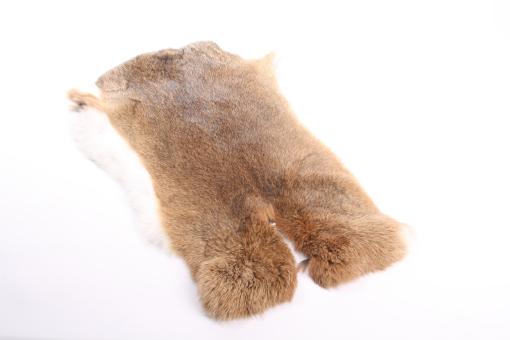Kanin Felle Natur Hasenfarbig 