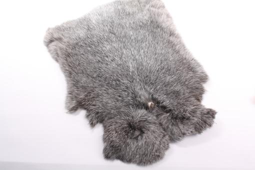 Kanin Felle Natur Silber 