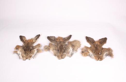 Mask - Hare/Rabbit dgd. 