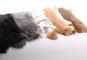 morepic-2